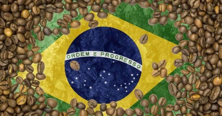 كل ما تريد معرفته عن القهوة البرازيلية