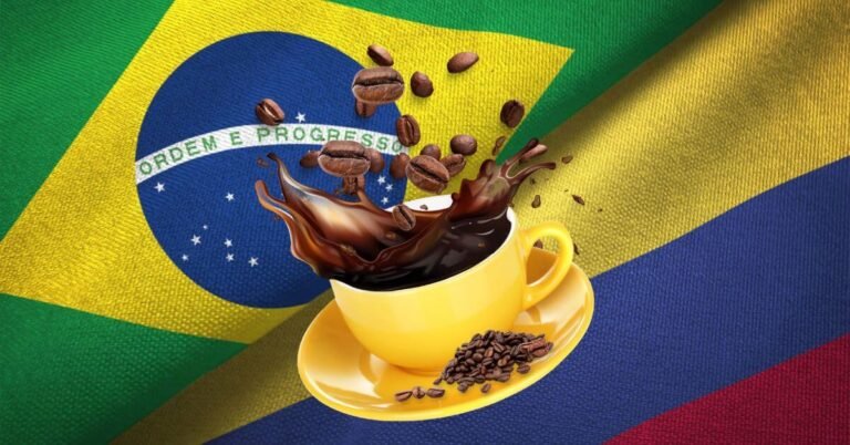 الفرق بين القهوة البرازيلية والكولومبية: ايهما الافضل
