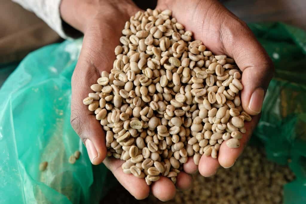 حبوب القهوة الاثيوبية