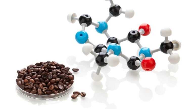 هل القهوة تزيد هرمون الذكورة؟ الحقيقة وراء هرمون التستوستيرون